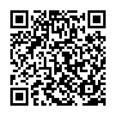 QR code for DSG 234