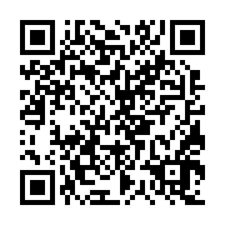 QR code for DSG 246