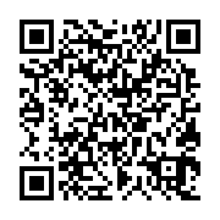 QR code for DSG 341