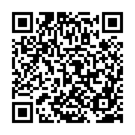 QR code for DSG 866