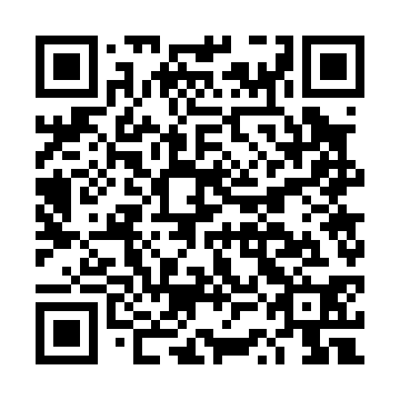 QR code for DSG030
