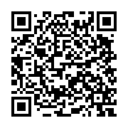 QR code for DSG425