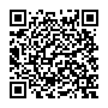 QR code for plate DSG 735
