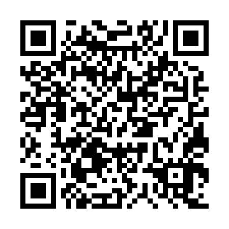 QR code for plate DSG 847