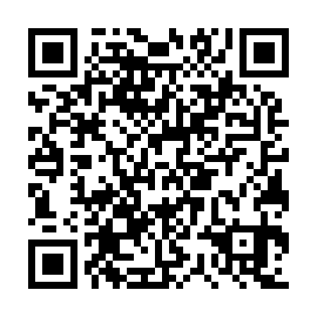 QR code for DSG931