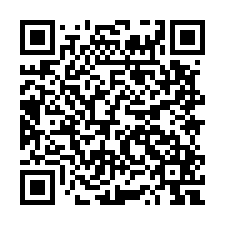 QR code for DSI 545