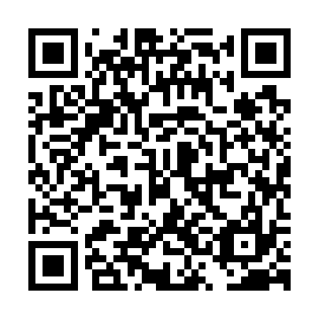 QR code for DSI 737