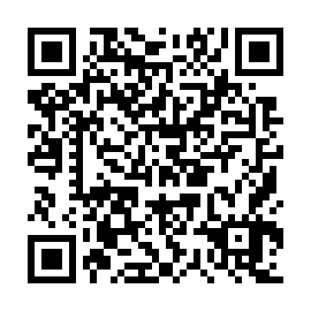 QR code for DSI 767
