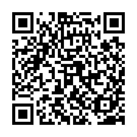 QR code for DSI 781