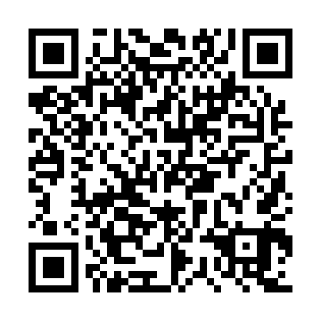 QR code for plate DSJ 141