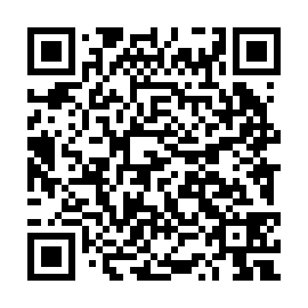 QR code for DSL 238