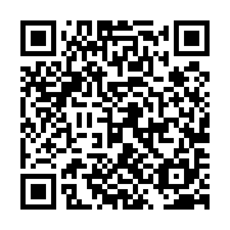QR code for DSL595
