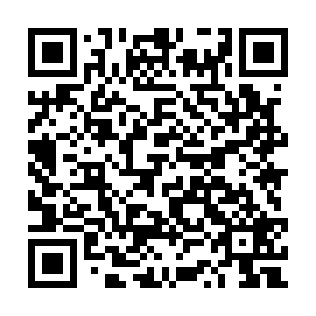 QR code for DSM 129