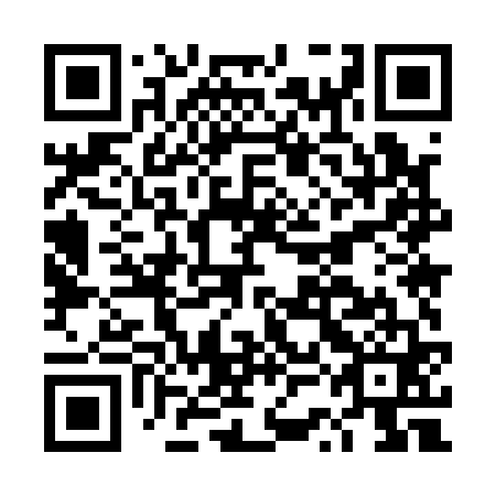 QR code for DSM 161