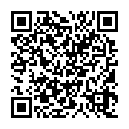 QR code for DSM 338