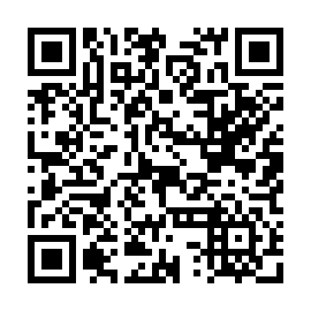 QR code for DSM 346
