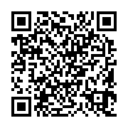 QR code for DSM 381