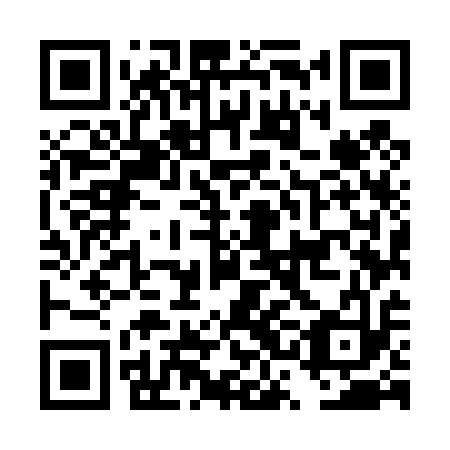 QR code for DSM 413