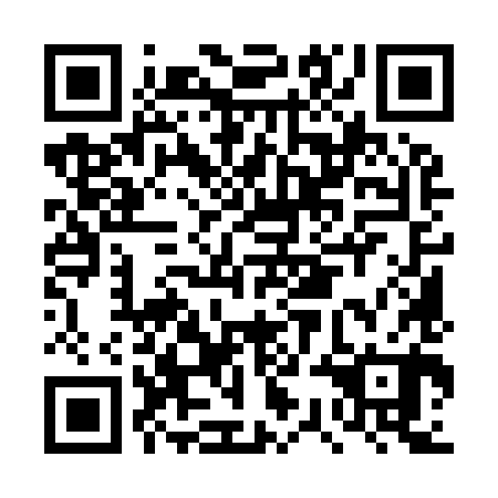 QR code for DSM 980