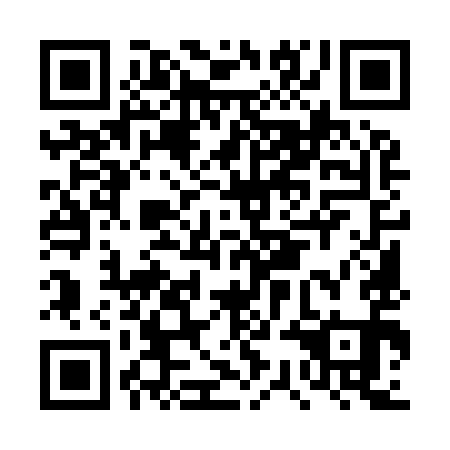 QR code for DSM 991