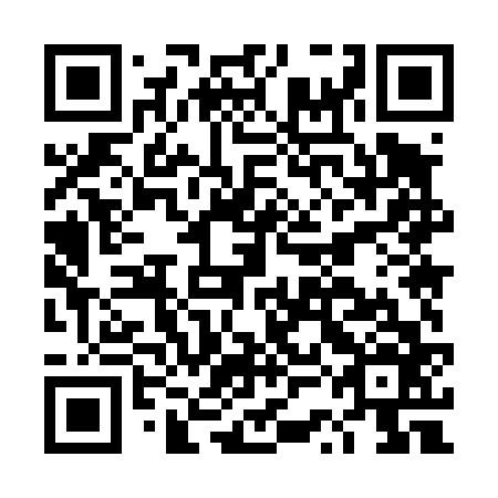 QR code for DSM466
