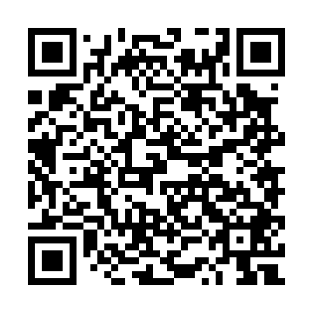 QR code for plate DSN 048