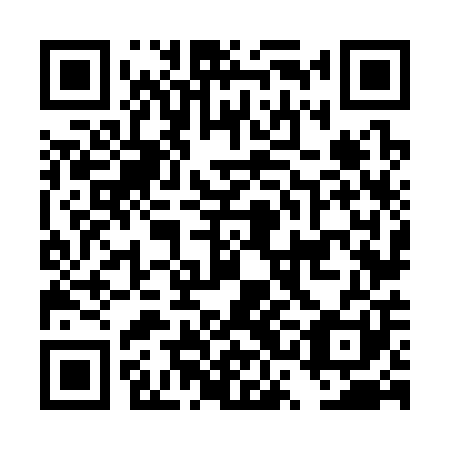 QR code for DSN301