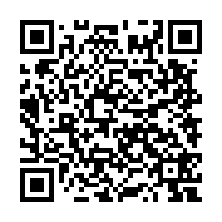 QR code for plate DSN 528
