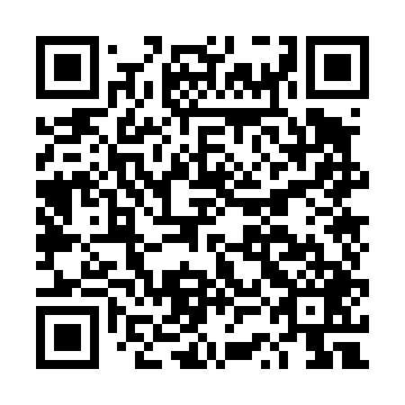 QR code for DSO 449