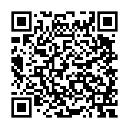 QR code for DSO 480