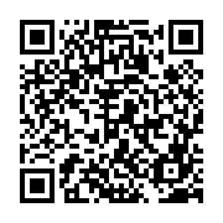 QR code for plate DSO 066