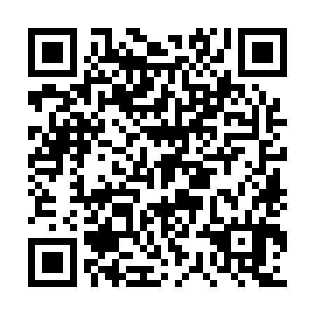 QR code for plate DSO 184