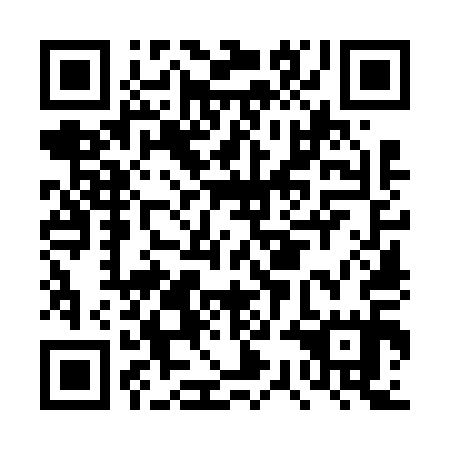 QR code for DSO615