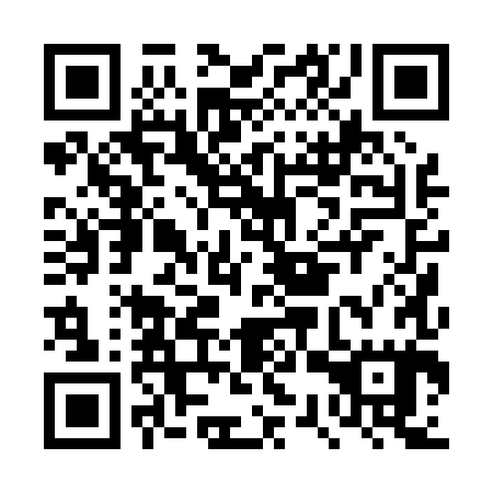 QR code for DSP 085