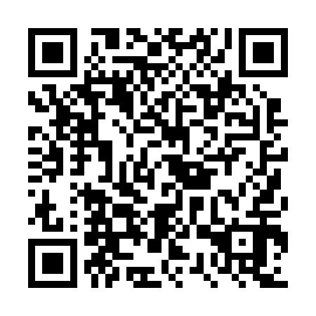 QR code for DSP 212
