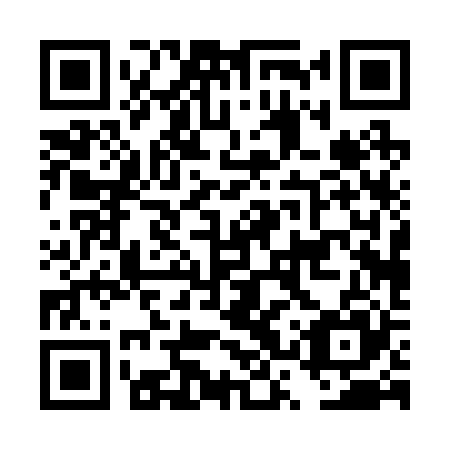 QR code for DSP 225