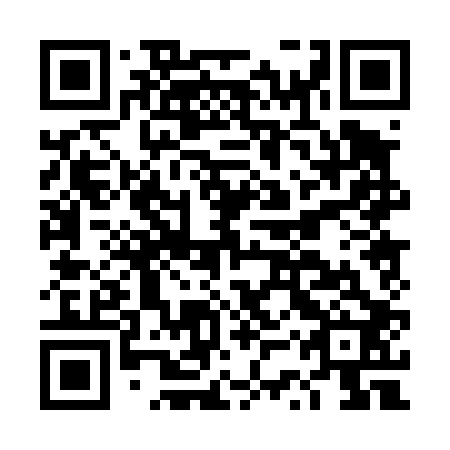 QR code for DSP 402