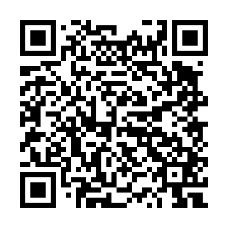 QR code for DSP 441