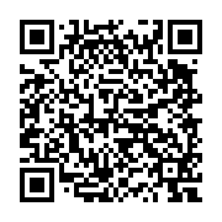 QR code for DSP 492