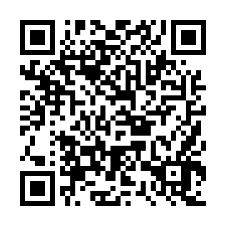 QR code for DSP 546