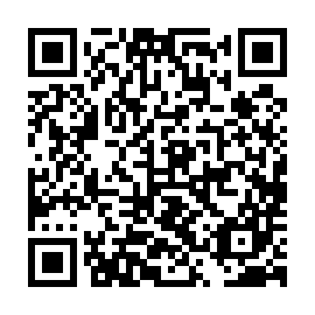 QR code for DSP 587