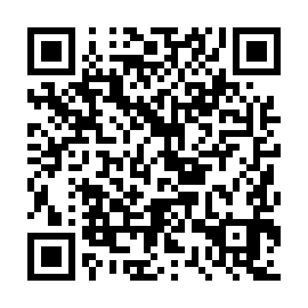 QR code for DSP 591