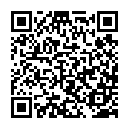 QR code for DSP 602