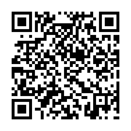 QR code for DSP066