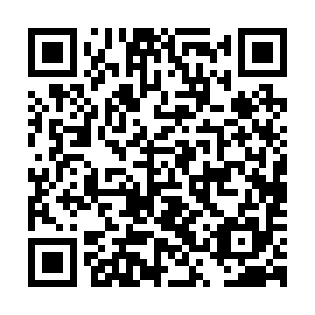 QR code for plate DSP 295
