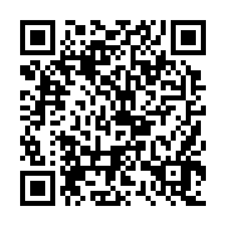 QR code for DSP346