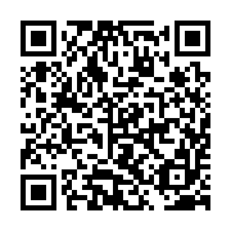 QR code for DSQ 392