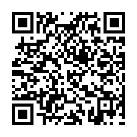 QR code for DSQ 863