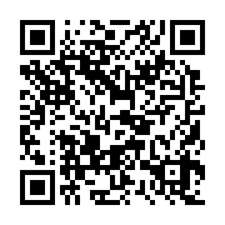 QR code for plate DSQ 338