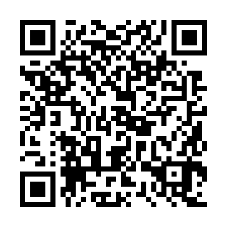 QR code for plate DSQ 782